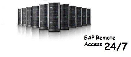 SAP Server access with 24X7 technical support