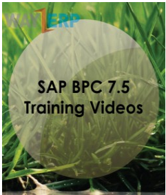 SAP BPC 7.5 Training videos