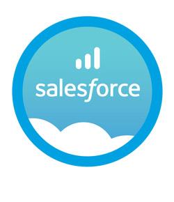 Salesforce Dump IT Trainer